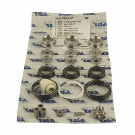 30221 KIT for CAT PUMPS (5612)